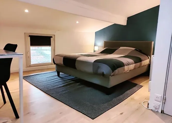 Triplex Centre-logement Entier Pamiers